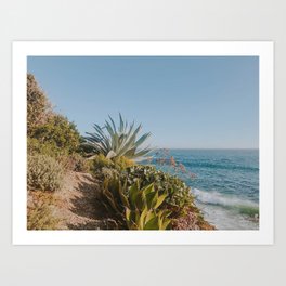 california coast xiii / laguna beach Art Print