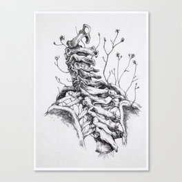 Sono crepe e spine che avanzano tra le vertebre. Canvas Print