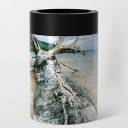 Nature morte Can Cooler