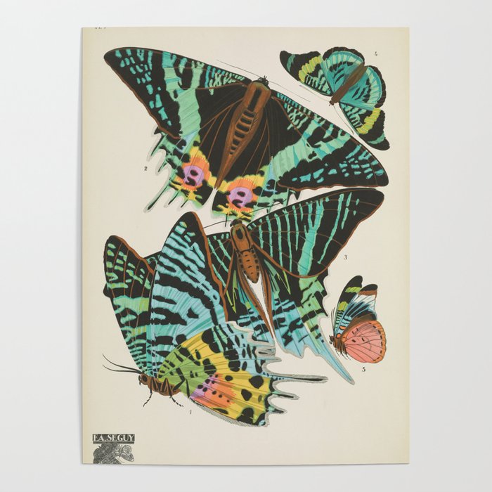 Butterfly and Moth Print by E.A. Seguy, 1920s #16 Poster