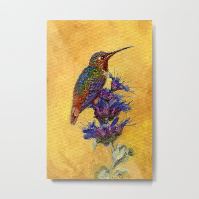 Allen's Hummingbird on Bee Balm Metal Print