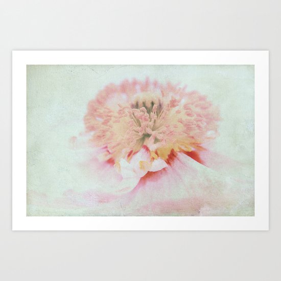 Pink Poppy Art Print