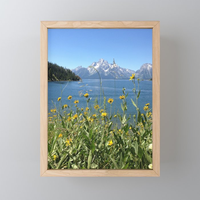 Sunny Grand Tetons Framed Mini Art Print