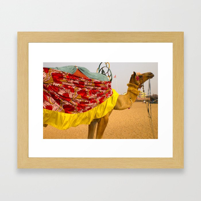 Beach Camel Framed Art Print