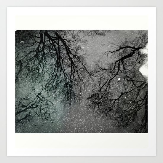 Reflections Art Print
