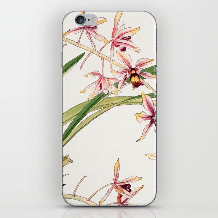 Cymbidium orchid, Japanese woodblock art iPhone Skin