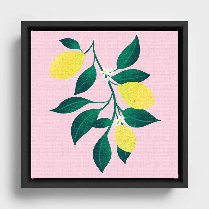 Lemon Love Framed Canvas