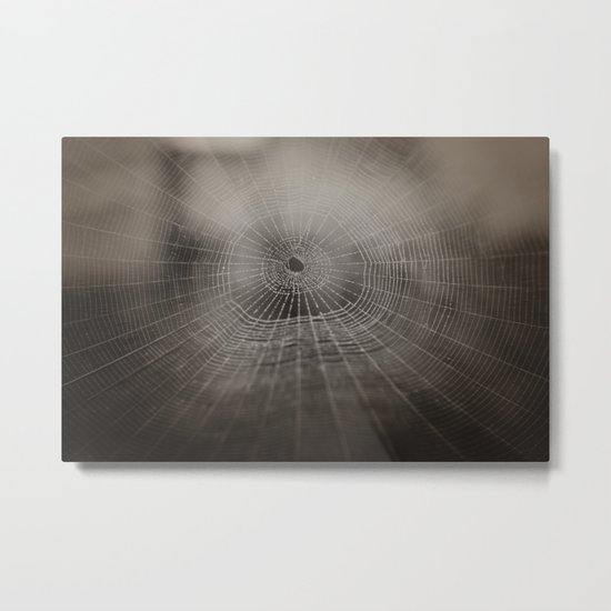 Oh What a Tangled Web We Weave....... Metal Print