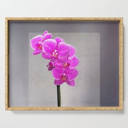 Phalaenopsis Orchid Art Pink Simple Elegance Serving Tray