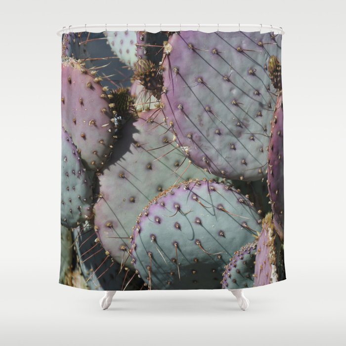 Cactus Whiskers Shower Curtain