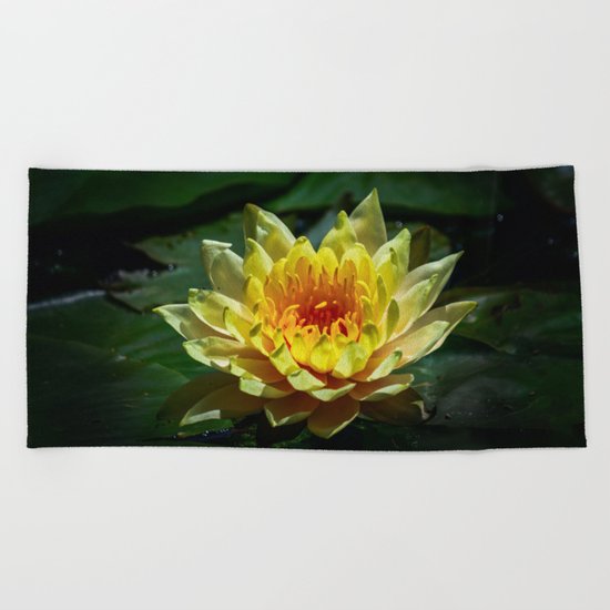 Yellow water lily Beach Towel