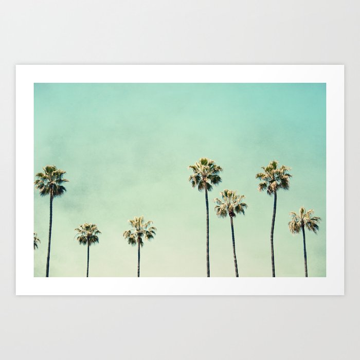 Palm Tree Photography Art Print