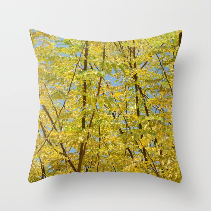 Fortune Throw Pillow