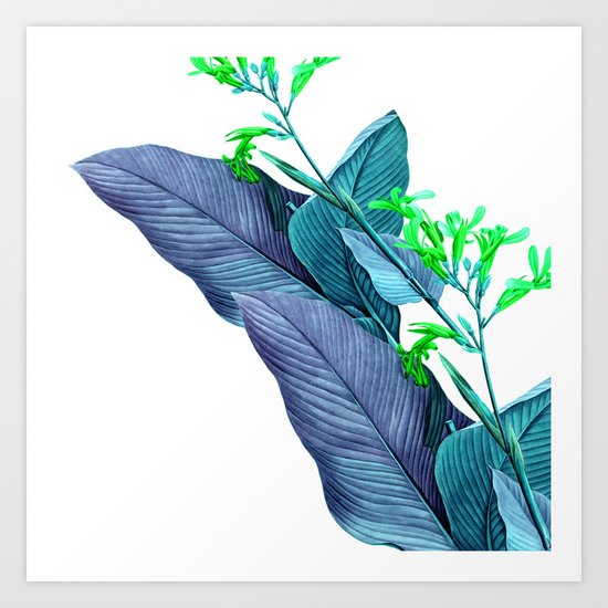 Leaf feathers Art Print