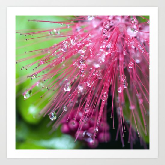 Glistening Diamonds of Pink Art Print