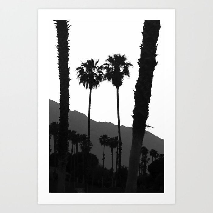 Palm Trees #444 Art Print