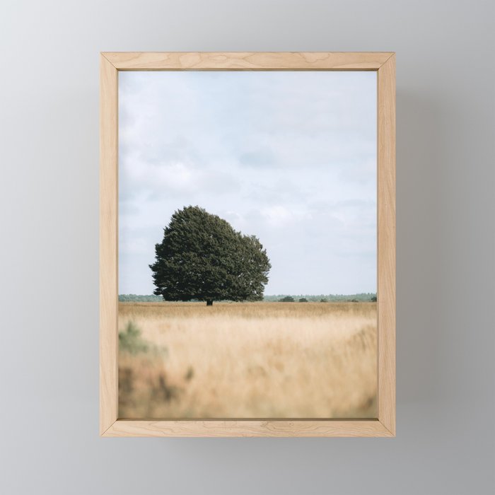 Minimalist Single Tree | Nature Photograph Holland Framed Mini Art Print