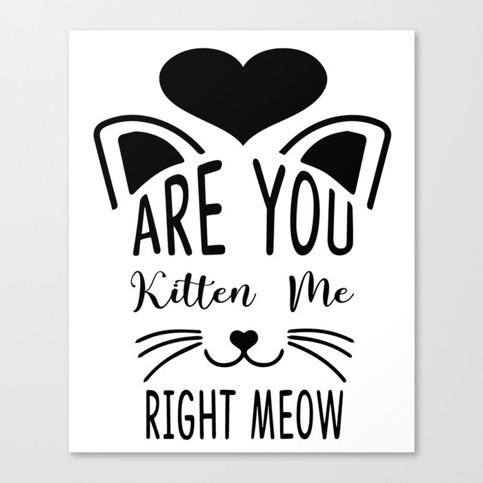 Are You Kitten Me Right Meow Canvas Print