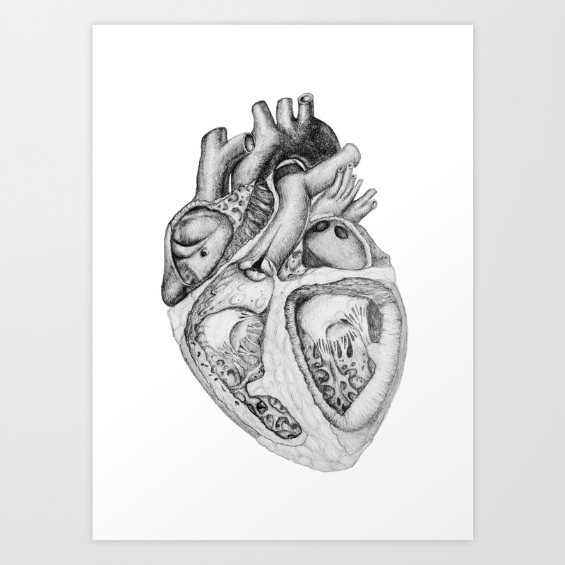 Heart Illustration Pencil Sketch Art Print By