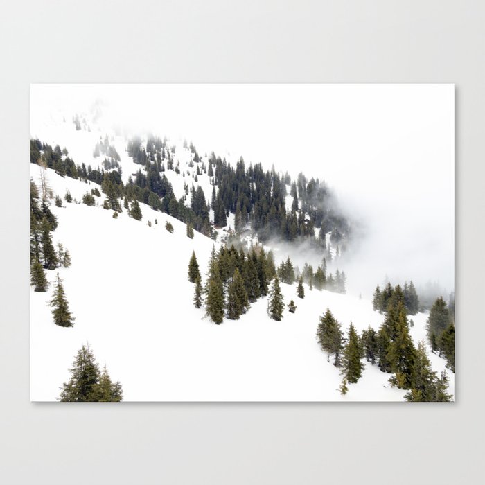 Aerial Winter Wonderland | Pine Trees and Snow Canvas Print