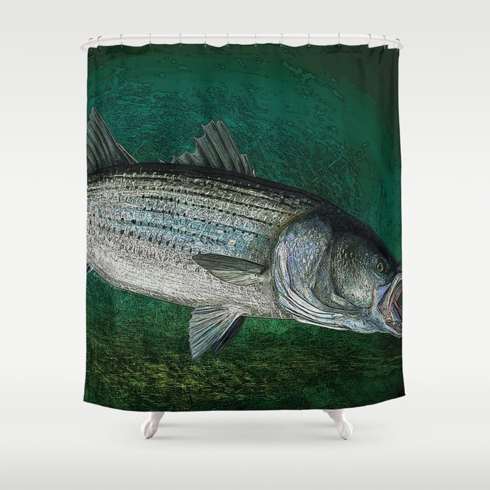 Striped Bass Fishing Art Prints Shower