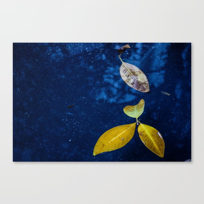 Fall is Coming Canvas Print