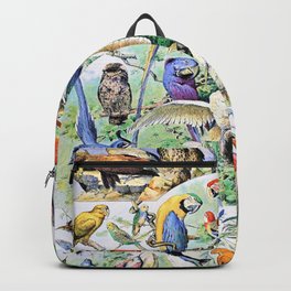 Adolphe Millot "Birds" 2. Backpack | Vintageposter, Adolphemillotart, Graphicdesign, Lithograph, Biology, Illustration, French, Vintagefrench, Adolphemillot, Botanist 