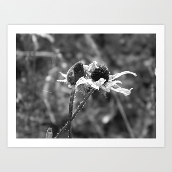 Stygian Stems Art Print