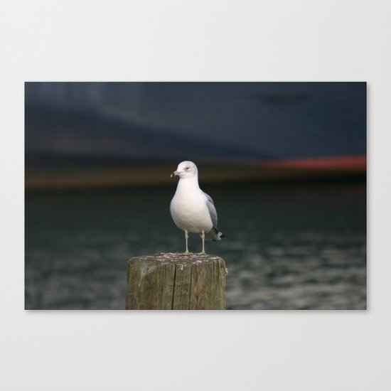 Alone - Photo Canvas Print