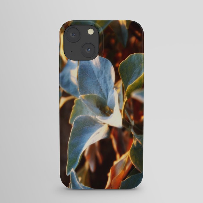 Desert Leaves II iPhone Case