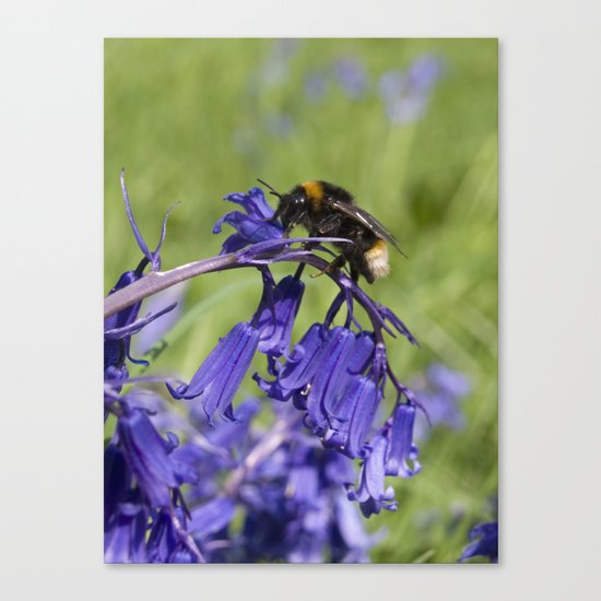Bee on a mission Canvas Print