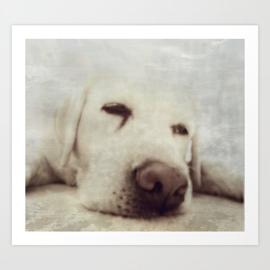 Pooch Art Print