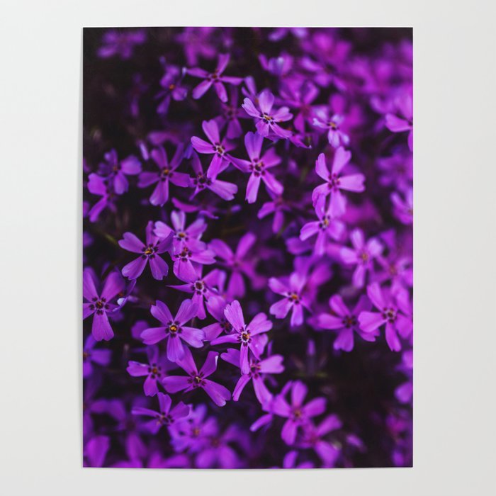Flowers in Purple, Ultra Violet Poster by Stay Positive Design | Society6