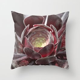 Succulent Cactus Blossom  Throw Pillow