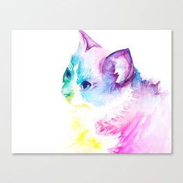 Rainbow Kitten (Abey) Canvas Print
