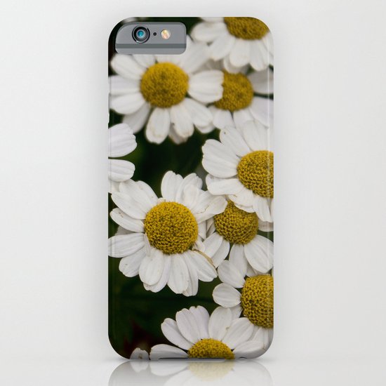 Daisies 1 iPhone & iPod Case