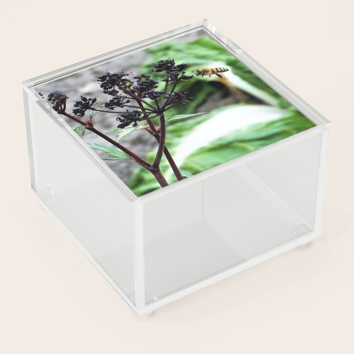 "Flaps Down, Wheels Down, Ladies and Gentlemen, we are Cleared for Landing" Acrylic Box by