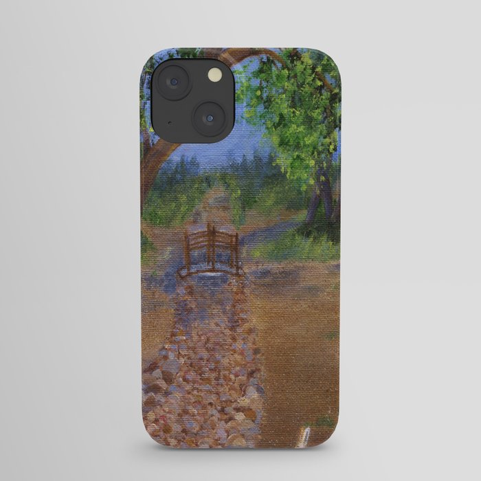 Arizona River Rock iPhone Case