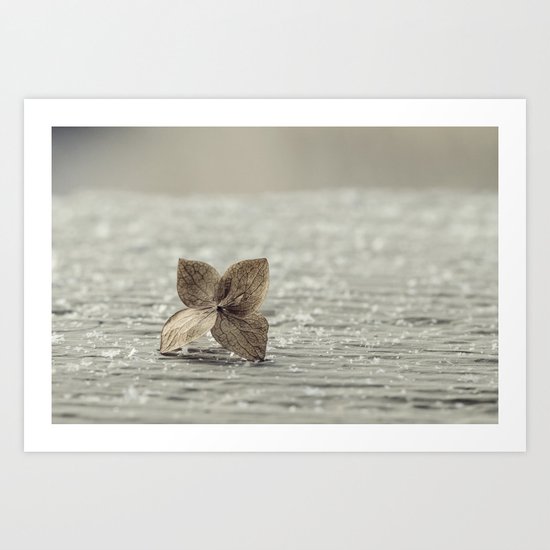 among sparkles Art Print