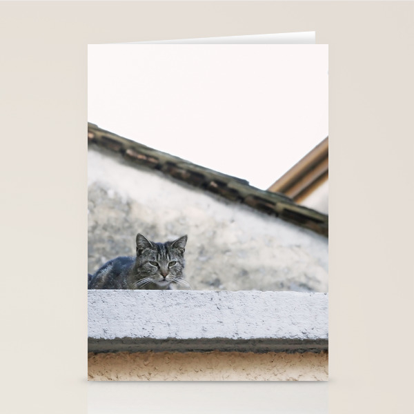 Cat On The Roof Stationery Cards By Brookeryanphotography Society6