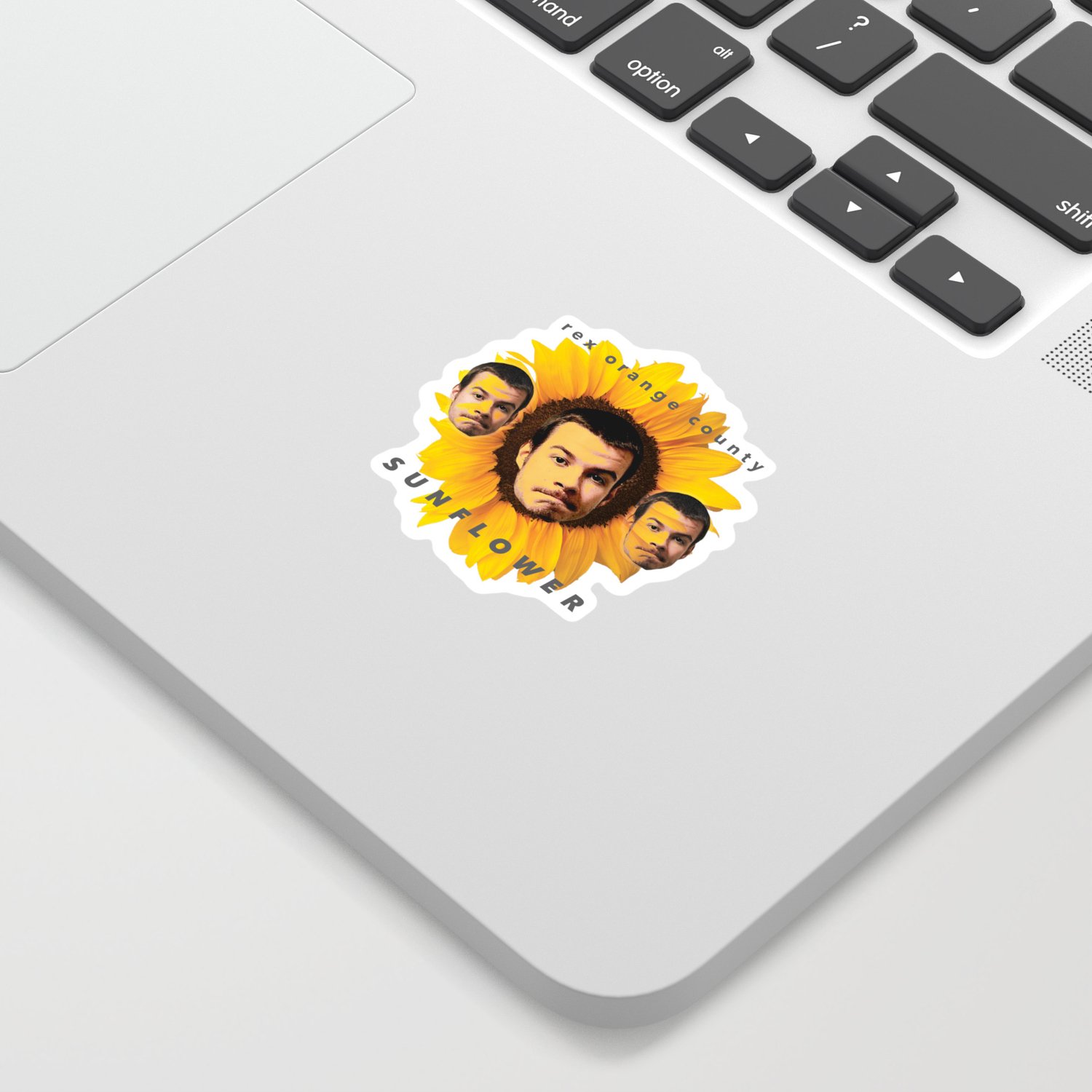 Rex Orange County Sunflower Sticker By Skiggyy Society6