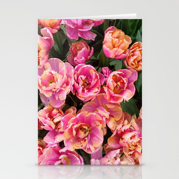 Tulip flower holland pink nature Stationery Cards