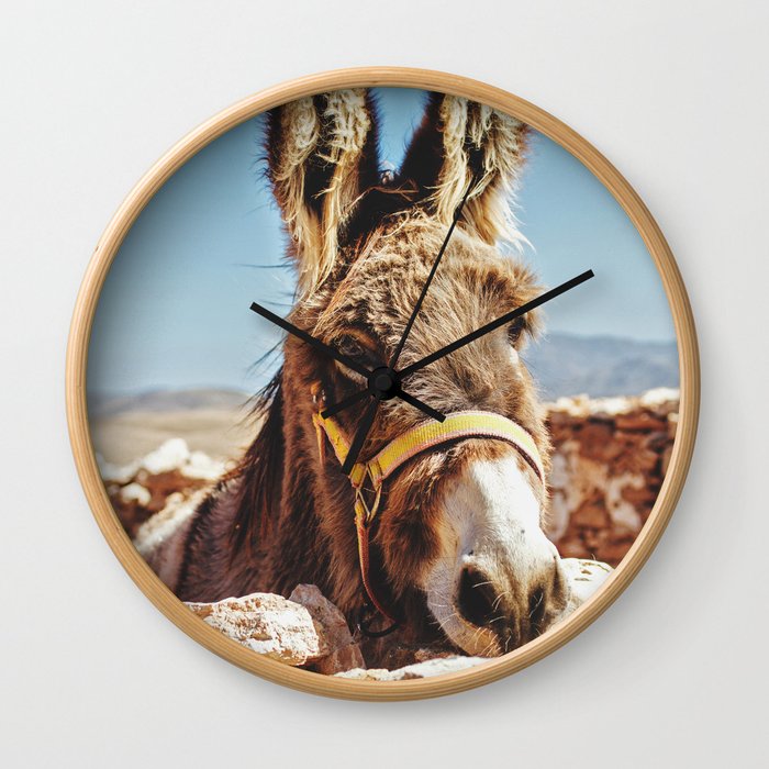 Donkey photo Wall Clock