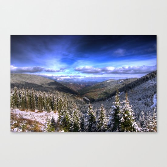 Winter Vision Canvas Print