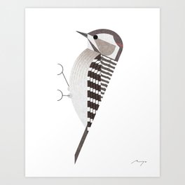 Japanese Pygmy Woodpecker (2017) Art Print