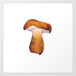 Bolete Mushroom Watercolor Art Print