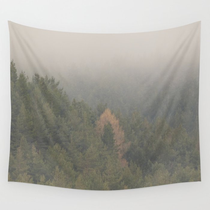  Spring Misty Morning Pine Forest in the Scottish Highlands Wall Tapestry