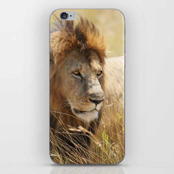 In the skin of a lion essay