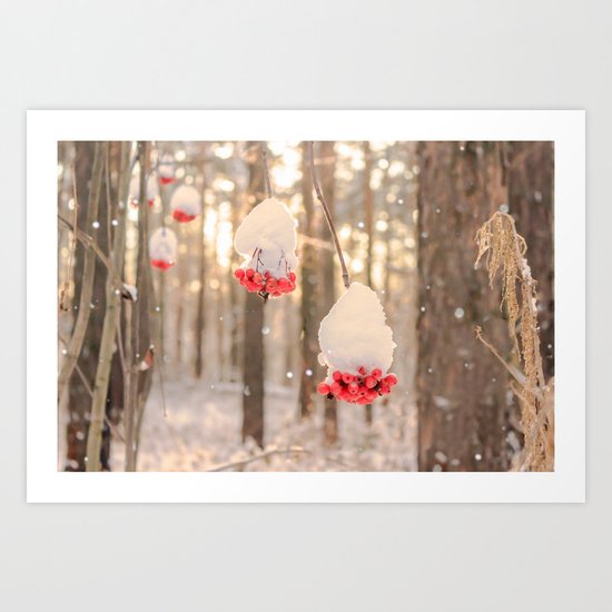 Rowan berries in the snow Art Print