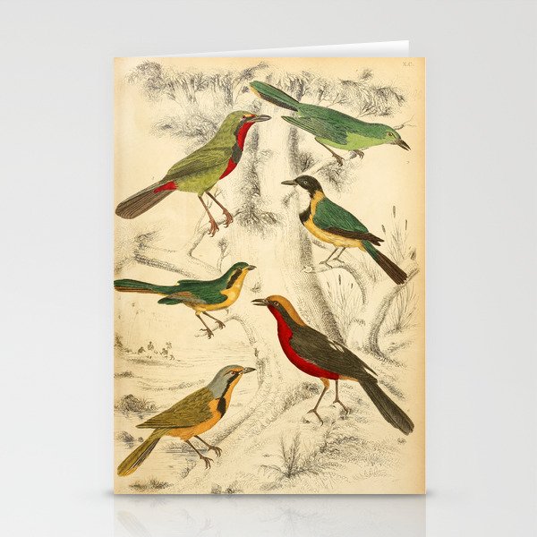 Thrush-shrikes from The Edinburgh Journal, 1835 (benefitting The Nature Conservancy) Stationery Cards